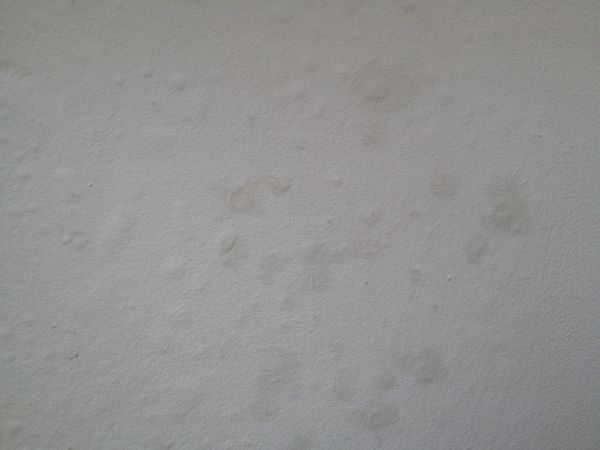 107389_image_3.jpg