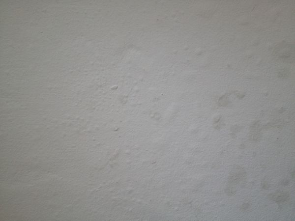 107389_image_4.jpg