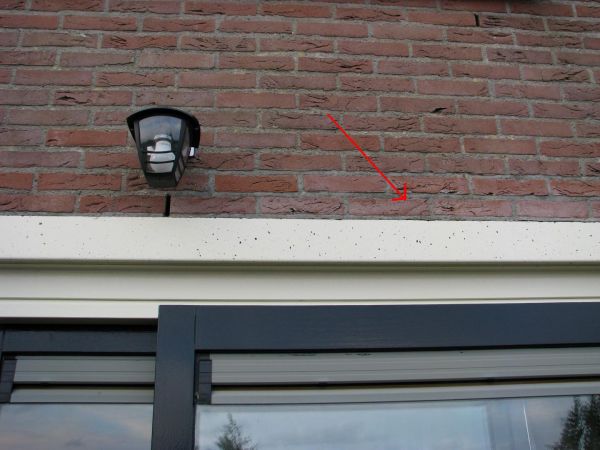 11009_IMG_4280_2.jpg