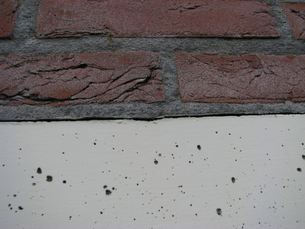 11009_IMG_4282_1.jpg