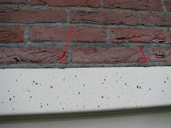 11009_IMG_4283_1.jpg