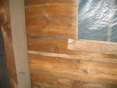 11077_IMG_1678_1.jpg