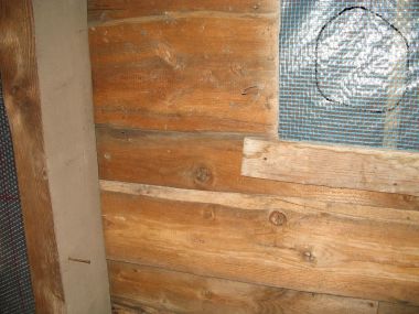 11077_damp_1.jpg