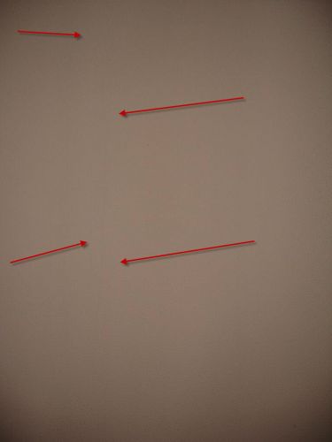 11862_DSC03239_2.jpg