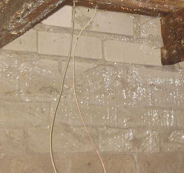 12121_zoom_2.jpg