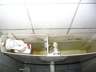 12330_toiletboven_001_Medium_3.jpg