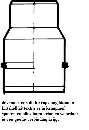 12496_49549_1.jpg