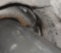 12496_ScreenHunter_01_Feb_27_1649_1.gif