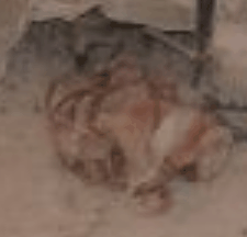12496_ScreenHunter_02_Jan_08_1751_1.gif