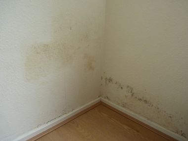 12496_badkamer_en_lekkage_002_2.jpg