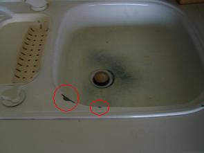 12496_lppod52_1.jpg