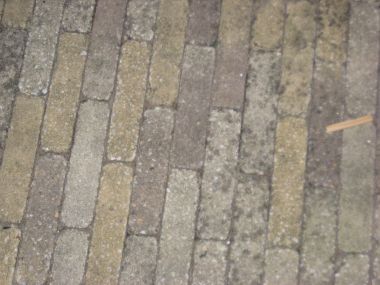 12593_IMG_1673_1.jpg
