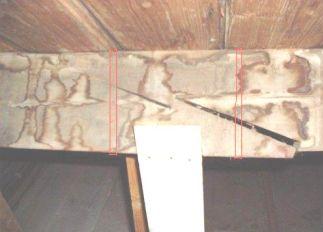 1265_12028_gordingKI2_1_1.jpg
