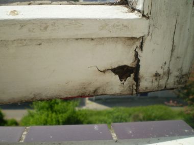 1265_P5210001_1.jpg