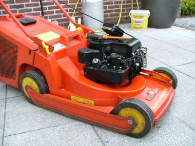 1265_wolf1_1.jpg