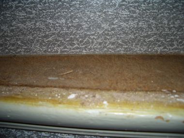 13511_CIMG3388_1.jpg