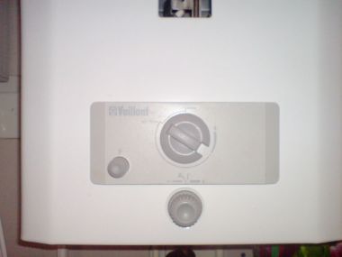 13782_geiser_1.jpg