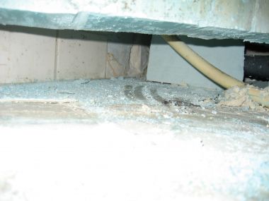 14024_IMG_1445_1.jpg