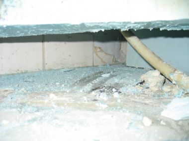 14024_IMG_1450_1.jpg