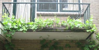 14142_balkon_2.jpg