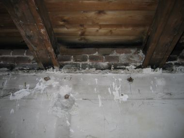 14269_IMG_3494_1.jpg