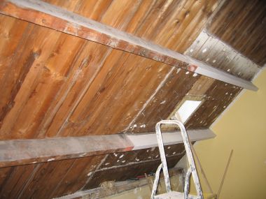 14269_IMG_3495_1.jpg