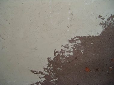 14918_close_up_1.jpg