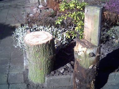 15112_Tuinhek_1.jpg