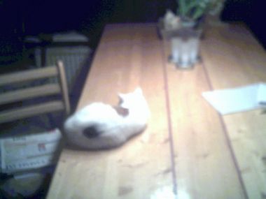 15112_ja21002_1.jpg