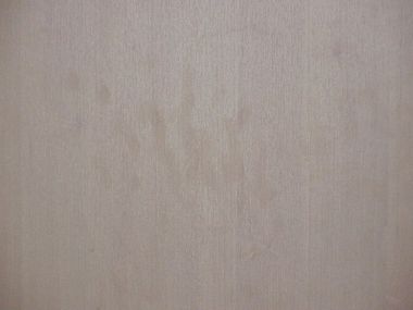 16310_MVC004F_1.jpg