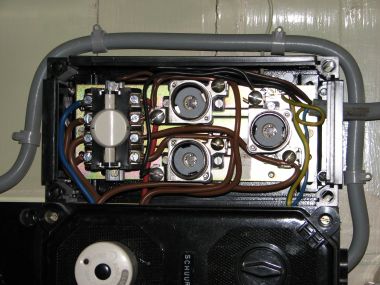 19654_IMG_2493_1.jpg