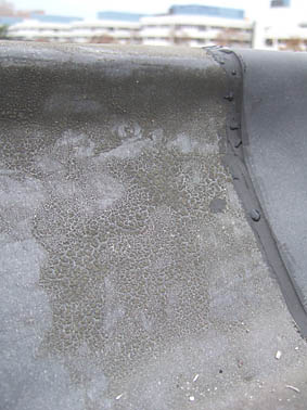19978_epdm_1.jpg