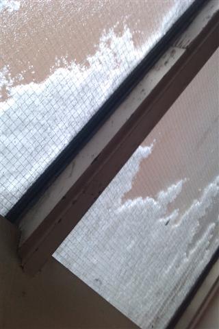 21204_IMAG0304_Small_1.jpg