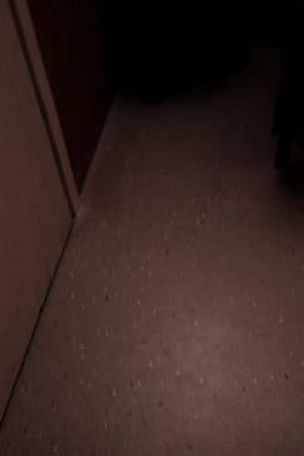 21204_IMAG0339_Large_1.jpg
