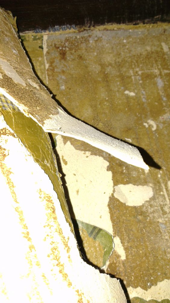 21660_IMAG2373_3.jpg