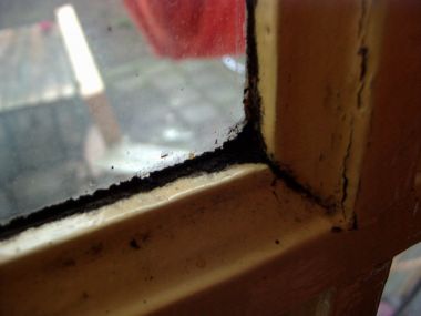 22855_PIC00900_1.jpg