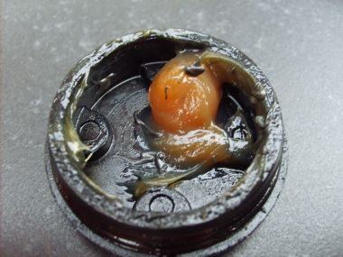 2351_S5001213_1.jpg