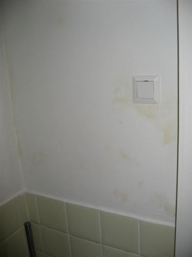 24583_toilet_1.jpg