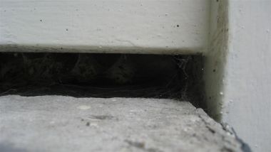 24583_vensterbank_buiten_1__1.jpg