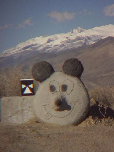 2464_mickey1_1.jpg