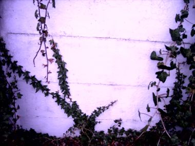 2477_PICT1325_1.jpg