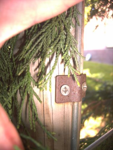 2477_PICT1457_1.jpg