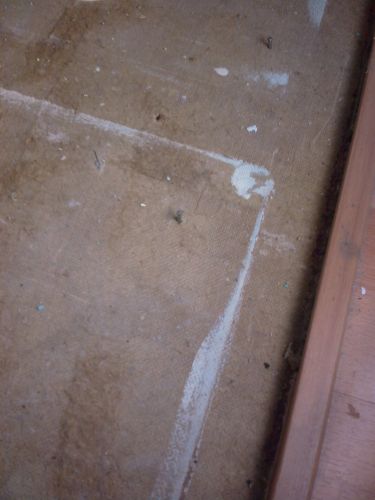 26522_fot2_1.jpg