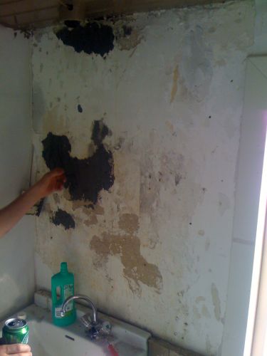 26746_IMG_0097_1.jpg