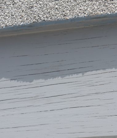 27026_rand_1.jpg
