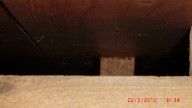27164_CIMG6065_1.jpg