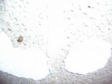 27191_plafond4_1.jpg