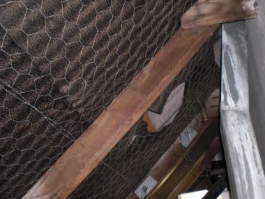 27510_CIMG1074_1.jpg