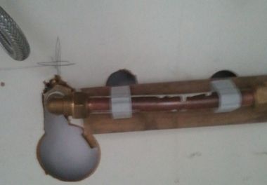 27682_20120827_1914012_1.jpg