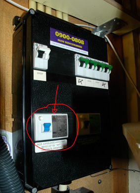 287__DSC2009_1.jpg